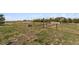 Spacious backyard with fresh grass and garden at 1212 N County Road 125, Bennett, CO 80102