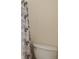 Half-bathroom featuring toilet and decorative shower curtain with leaf pattern at 1212 N County Road 125, Bennett, CO 80102