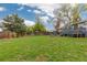 Backyard featuring a lawn, wood fence, deck, and mature trees at 8506 Eaton St, Arvada, CO 80003
