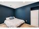 Bedroom featuring a built in closet, plush carpeting, and blue accent wall at 2516 Mountain Sky Dr, Castle Rock, CO 80104
