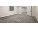 Spacious basement featuring plush carpeting, a window, and an open doorway with bright light exposure at 6514 Agave Ave, Castle Rock, CO 80108