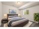 Stylishly staged bedroom featuring a comfortable bed, bright window, and tasteful decor for a relaxing ambiance at 6514 Agave Ave, Castle Rock, CO 80108