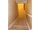 Carpeted stairs lead to a bright, carpeted area with a glimpse of an adjacent room at 10759 Ogden St, Northglenn, CO 80233