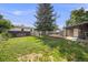 Large backyard with a mature tree, wood fence and covered patio space at 7350 Dale Ct, Westminster, CO 80030