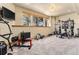 Home gym featuring exercise machines, free weights, and natural light from the windows at 12161 S Leaning Pine Ct, Parker, CO 80134