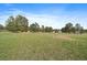 Expansive front yard with mature trees offers a serene view and a sense of privacy and space at 3337 Ponderosa Rd, Franktown, CO 80116