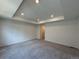 Large main bedroom featuring tray ceiling and neutral carpeting at 9041 Redfield Ln, Parker, CO 80134