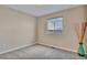 Cozy bedroom with neutral carpet, window view, and a plant accent at 861 Circle Rd, Palmer Lake, CO 80133