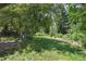 Backyard featuring a large tree, green grass, and natural landscaping at 1073 Xenon St, Golden, CO 80401