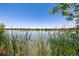 Scenic view of a tranquil lake with lush reeds and greenery along the banks, offering a serene natural backdrop at 1495 Vrain St # 110, Denver, CO 80204