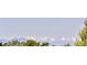 Distant view of snow-capped mountains, partially obscured by trees, from the property at 6524 Surry Pl, Parker, CO 80134