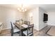 Elegant dining room with modern chandelier and dining table at 955 Eudora Street St # 108E, Denver, CO 80220
