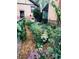 Landscaped garden with various plants and flowers at 4425 King St, Denver, CO 80211