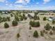 Expansive land lot featuring open space, distant views, and scattered groupings of mature trees at 11035 E Parker Rd, Parker, CO 80138