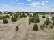 Expansive land lot featuring open space, distant views, and scattered groupings of mature trees at 11035 E Parker Rd, Parker, CO 80138