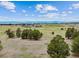 Expansive land lot featuring open space, distant views, and scattered groupings of mature trees at 11035 E Parker Rd, Parker, CO 80138