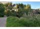 Lush green walking path surrounded by trees that leads to an apartment building at 1632 W Canal Cir # 924, Littleton, CO 80120