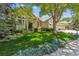 Charming front yard with lush green lawn and mature trees surrounding a beautiful beige home at 3145 Stevens Cir, Erie, CO 80516