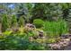 Picturesque garden pond with vibrant flowers, lush greenery, and a tranquil waterfall feature at 3145 Stevens Cir, Erie, CO 80516