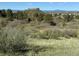 Picturesque backyard with mountain views at 2369 Bayberry Ln, Castle Rock, CO 80104