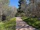 Scenic walking path lined with trees at 2369 Bayberry Ln, Castle Rock, CO 80104
