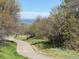 Walking path surrounded by lush greenery at 2369 Bayberry Ln, Castle Rock, CO 80104