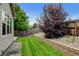Well-maintained backyard with green grass, privacy fence and manicured landscaping at 8071 Tabor St, Arvada, CO 80005