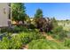 Expansive backyard featuring lush greenery, mature trees, and views at 2276 S Norse St, Lakewood, CO 80228