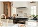 Close up of gourmet kitchen boasting marble countertops, gas range with pot filler, and custom cabinetry at 24 Spyglass Dr, Littleton, CO 80123