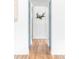 Hallway with wood floors, white walls, and blue doors offers a clean, modern aesthetic at 2313 S Race St # A, Denver, CO 80210