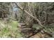 Creek-side view with small bridge and lush green forest surroundings at 150 Soda Creek Rd, Evergreen, CO 80439