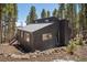 Charming home nestled amidst towering trees, showcasing a unique architectural design at 153 Sawmill Ln, Idaho Springs, CO 80452