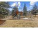 Spacious backyard featuring a playground for , and surrounding pine trees creating a fun space for outdoor activities at 31699 Southern Hills Pl, Evergreen, CO 80439