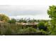 Scenic skyline view from this property, overlooking lush greenery and neighborhood homes at 654 S Shoshone St, Denver, CO 80223