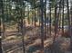 A wooded property offering privacy and natural beauty with plenty of towering pine trees at 8294 Wild Timber Dr, Franktown, CO 80116