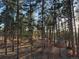 A wooded property offering privacy and natural beauty with plenty of towering pine trees at 8294 Wild Timber Dr, Franktown, CO 80116