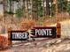 Timber Pointe community sign set among natural foliage, creating a rustic, welcoming entrance at 8294 Wild Timber Dr, Franktown, CO 80116