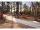 Long driveway leading to a home, surrounded by mature trees, offering a private and secluded feel at 8294 Wild Timber Dr, Franktown, CO 80116