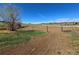 Expansive land with white fencing under a clear blue sky provides ample space and a secure boundary for outdoor activities at 595 W Oak Hill Ln, Castle Rock, CO 80108