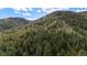 Beautiful aerial view of a lush, green forest with rolling hills in the background at 15947 S Perry Park Rd, Palmer Lake, CO 80133