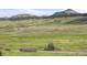 Scenic landscape with grazing cattle in an open field, mountains in distance at 15947 S Perry Park Rd, Palmer Lake, CO 80133