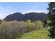 View of majestic mountains through green trees and meadow at 15947 S Perry Park Rd, Palmer Lake, CO 80133