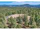 Beautiful aerial shot of the home nestled amongst a dense forest with a mountain view at 30671 Bearcat Trl, Conifer, CO 80433