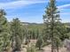 Expansive view of a densely wooded landscape with a clear blue sky, showcasing natural beauty at 11093 Milliken Ave, Conifer, CO 80433