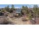 Aerial view shows house with a glass-enclosed sunroom, nestled in the woods with privacy at 7596 Rafter Rd, Franktown, CO 80116