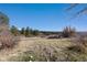 Vacant lot surrounded by trees offers a secluded and natural setting for development or recreation at 7596 Rafter Rd, Franktown, CO 80116