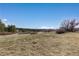 Expansive grassy yard with a view of distant trees and a clear blue sky at 7596 Rafter Rd, Franktown, CO 80116