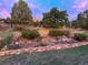 Scenic backyard view with stone retaining wall, trees, and a fence at 6227 Colorow Dr, Morrison, CO 80465