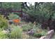 Lush garden with vibrant orange flowers, with a wooden fence at 6227 Colorow Dr, Morrison, CO 80465