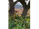 Lovely yard view with deer between trees on a scenic neighborhood at 6227 Colorow Dr, Morrison, CO 80465